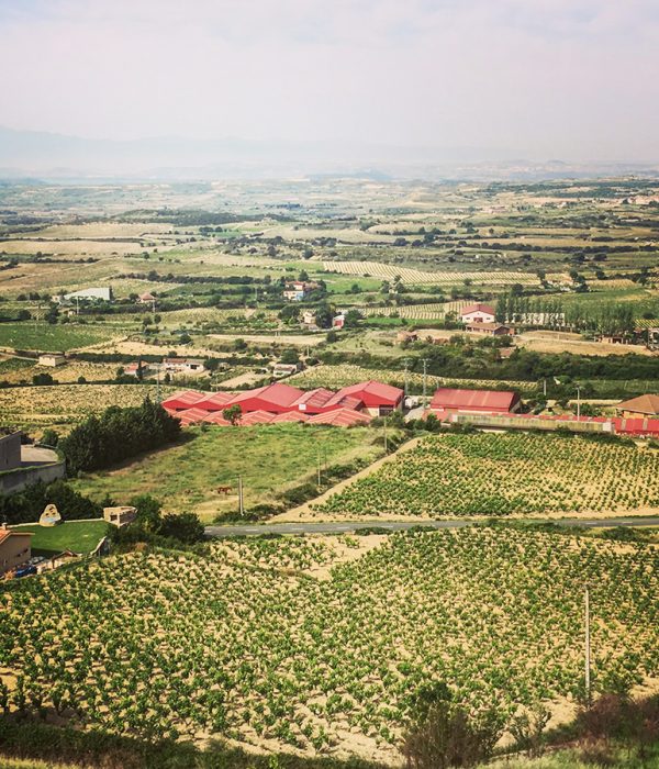 La Rioja wine tour - La Guardia - colorfulwines