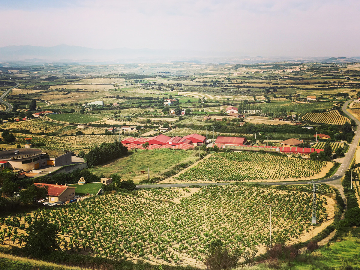 La Rioja wine tour - La Guardia - colorfulwines