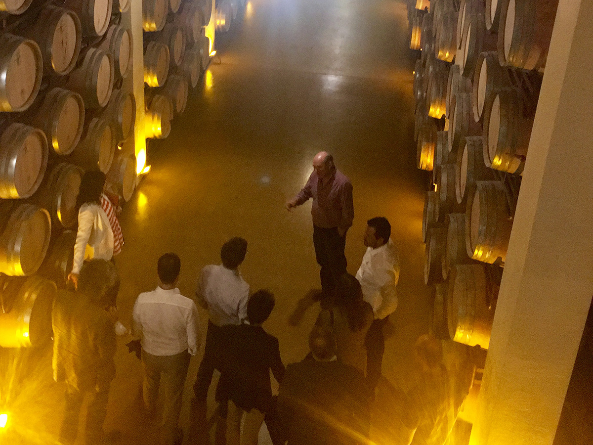 La Rioja wine tour - Beronia - colorfulwines