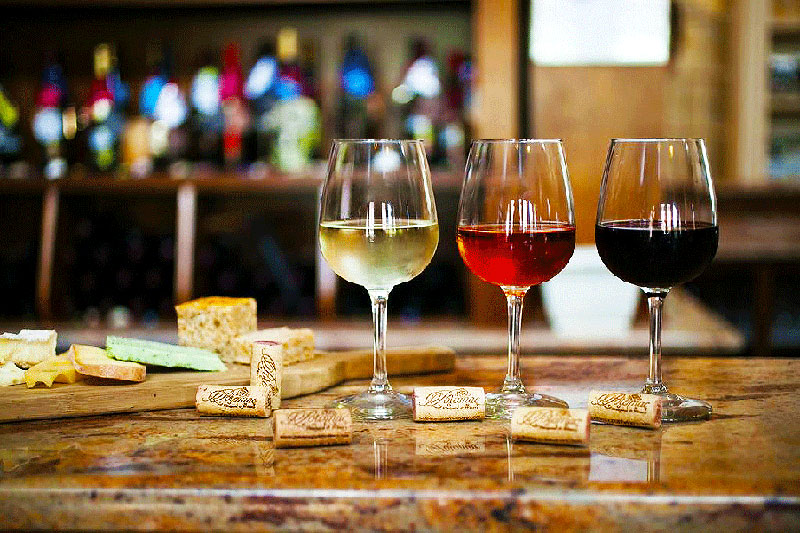 Wine tasting at home with white and red wines Wine tasting at home