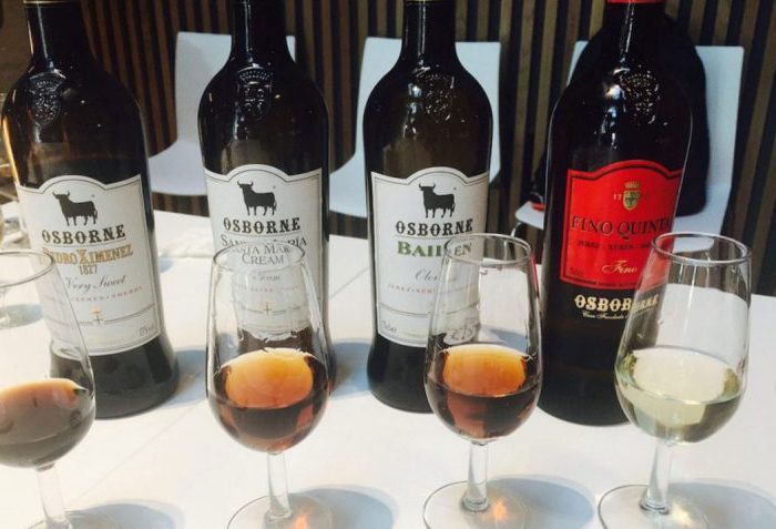 Wine Trips Spain - Osborne Tasting - Wine Experiences