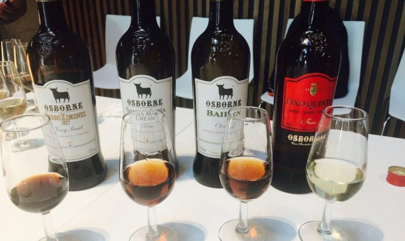 Wine Trips Spain - Osborne Tasting - Wine Experiences