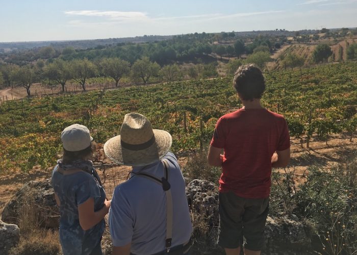 Bespoke Wine Tour Madrid