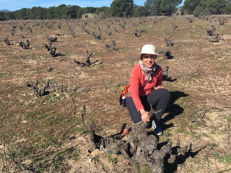 Garnacha centenaria at Las Moradas de San Martín, Madrid wine region