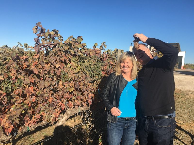 Bespoke Wine Tour Madrid