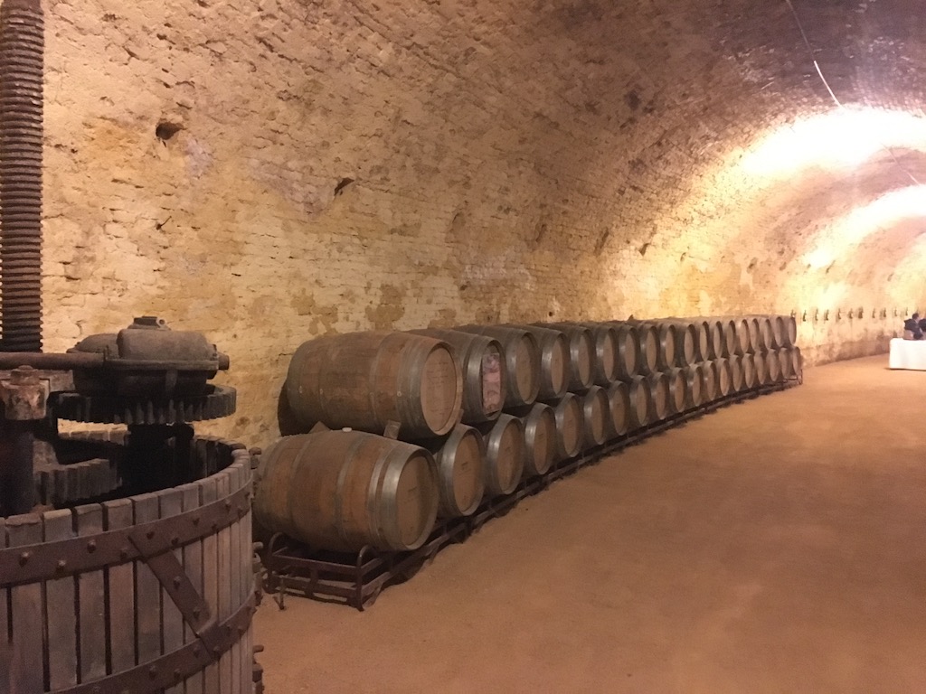 Impressive winery cellar at Bodega del Real Cortijo