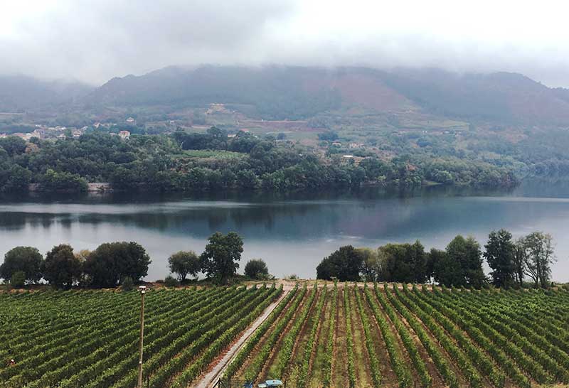 Ramón Do Casar, one of the greatest Spanish wineries in Galicia by colorful wines Ramón Do Casar, one of the greatest Spanish wineries in Galicia by colorful wines