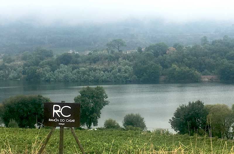 Ramón Do Casar, one of the fabulous Spanish wineries in Ribeiro by Colorful wines Ramón Do Casar, one of the fabulous Spanish wineries in Ribeiro by Colorful wines