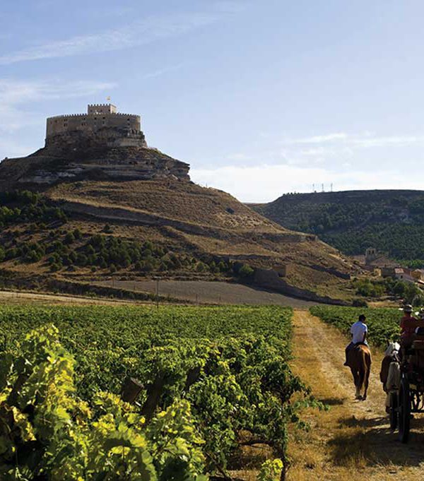 Ribera del Duero
