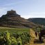Ribera del Duero