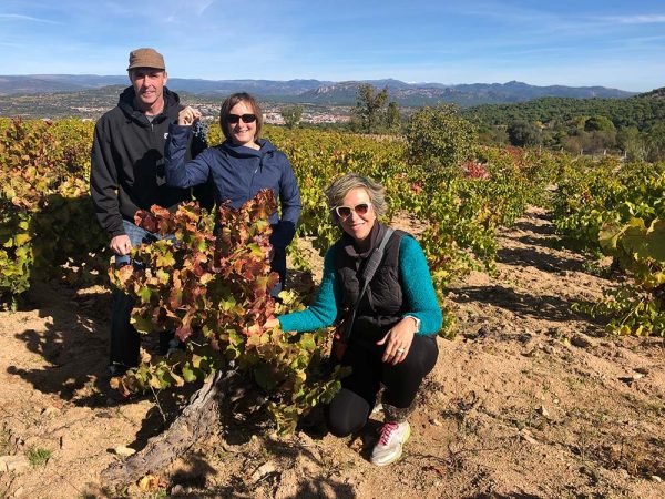 Vineyard-visit-near-Madrid_colorful-wines
