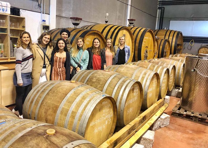 Wine cellar wine tour