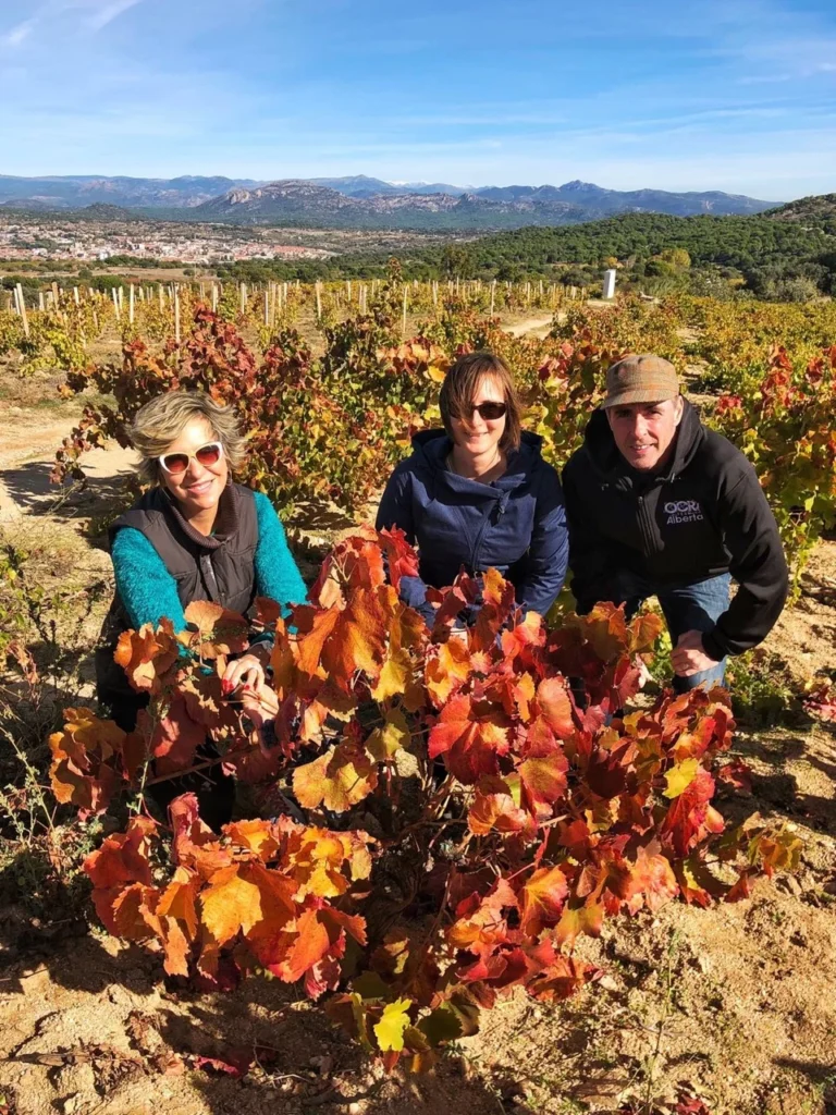 autumn harvest winery tour colorful wines
