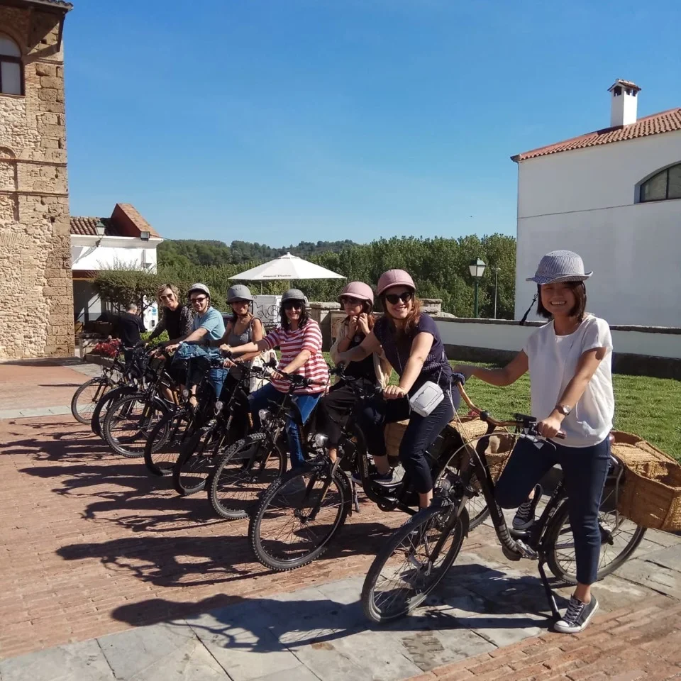bike wine tour in Spain colorful wines