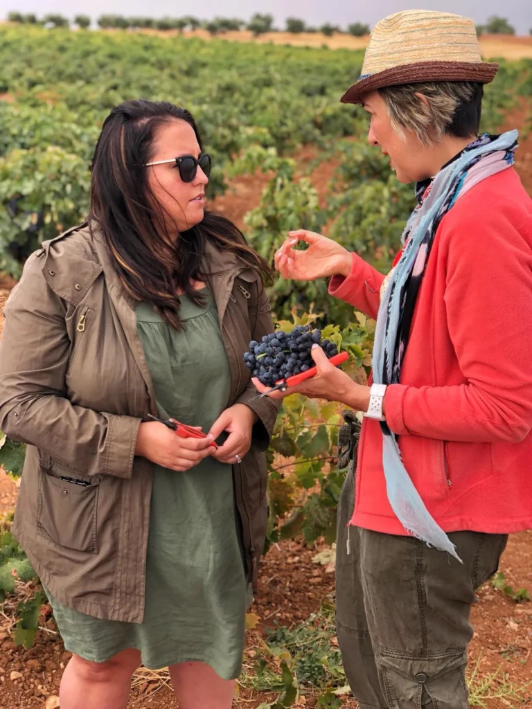 winemaking explanation one on one during harvest experience colorful wines