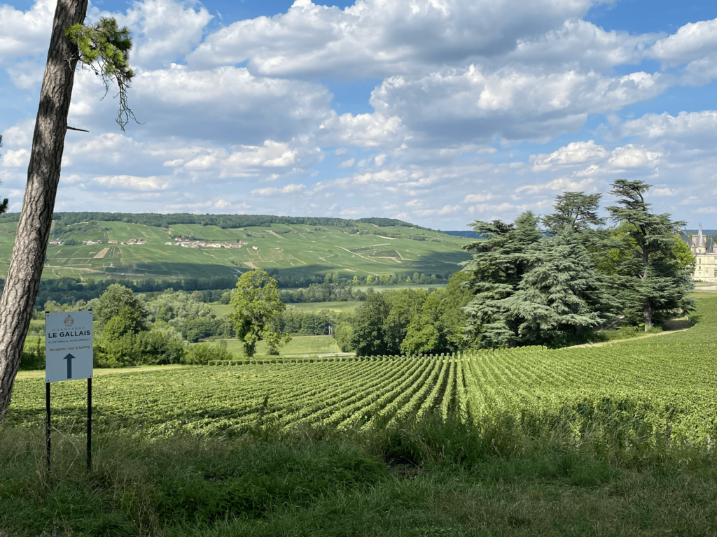 View to vineyards of Champagne