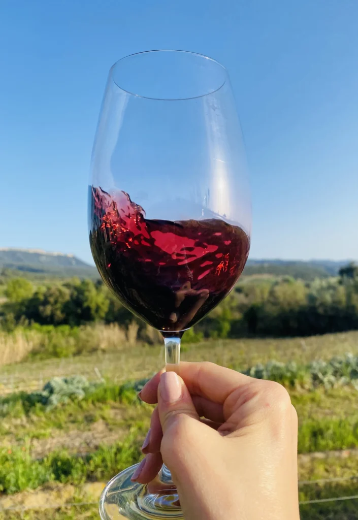 garnacha-wine-regions