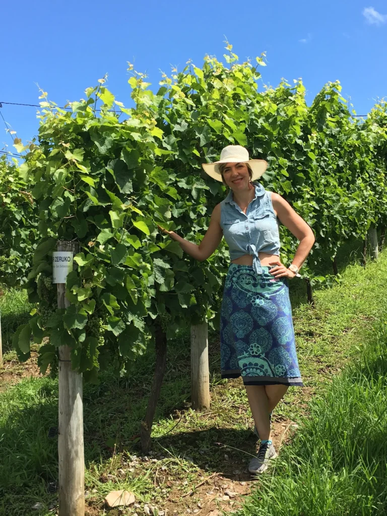 Txakoli Wine Tour Basque Country Spanish Region
