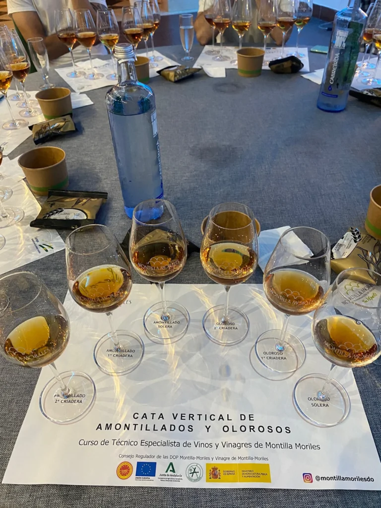 Wine Tasting Olorosos Amontillados Pedro Ximenez