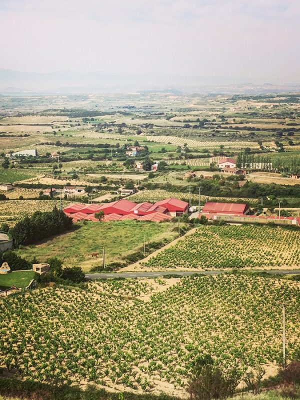 La Rioja wine tour - La Guardia - colorfulwines