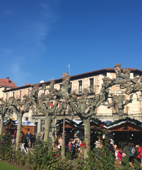 Wine day trips near Madrid