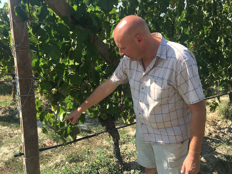 Claudio from La Rifra Winery_Lake Garda wine tour