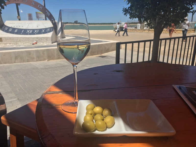 Manzanilla and green olives colorful wines