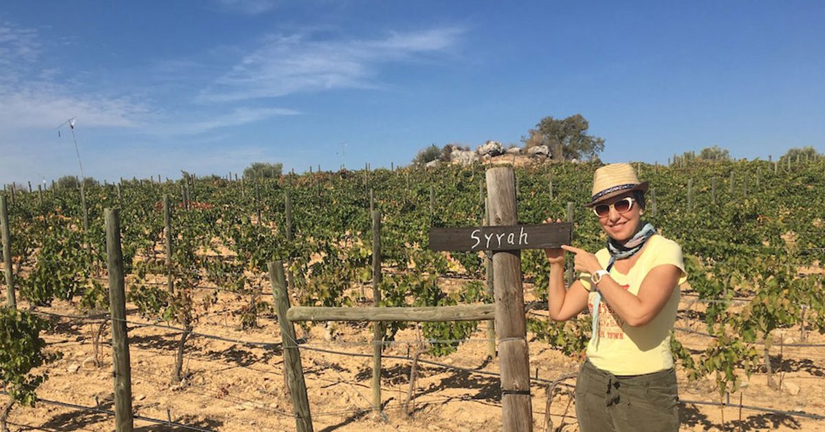 Wine tours in Spain for wine lovers and foodies Best Wine Experiences