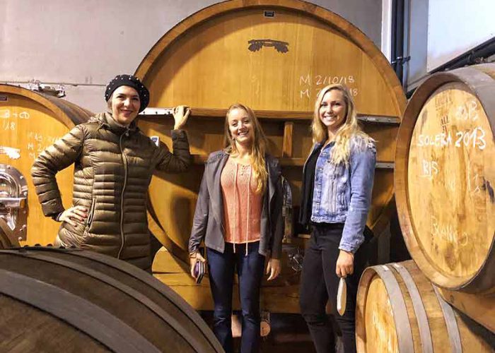Colorfulwines-private-wine-tour-madrid