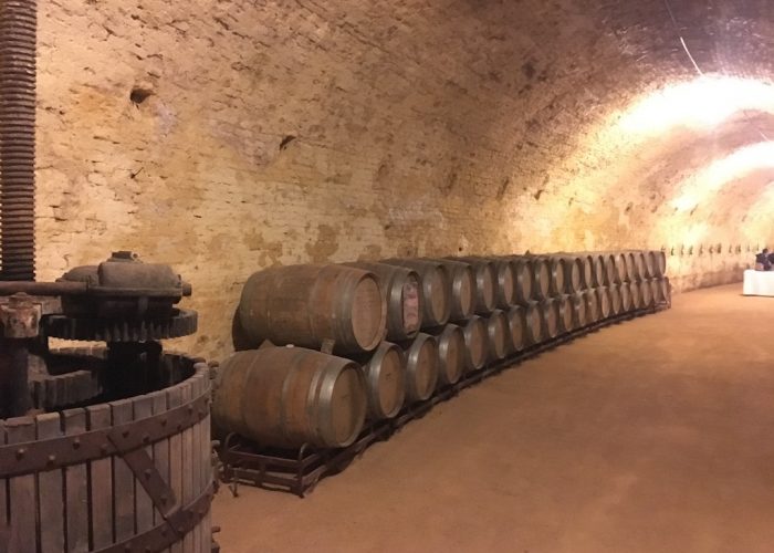 Impressive winery cellar at Bodega del Real Cortijo
