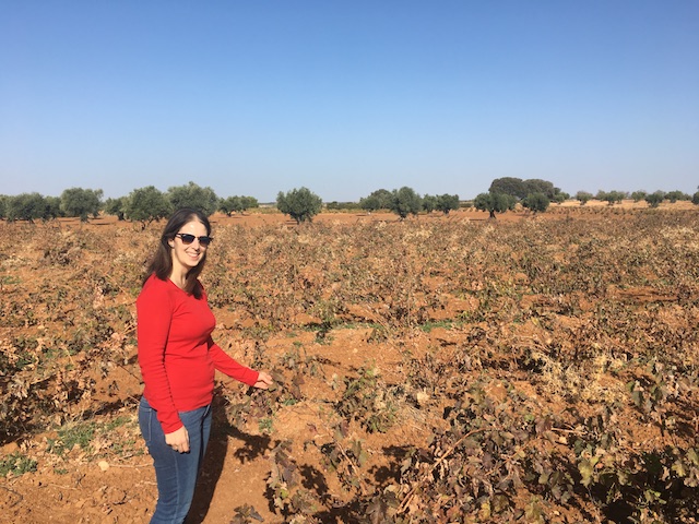 Esther, the oenologist, showing us their Tempranillo vines