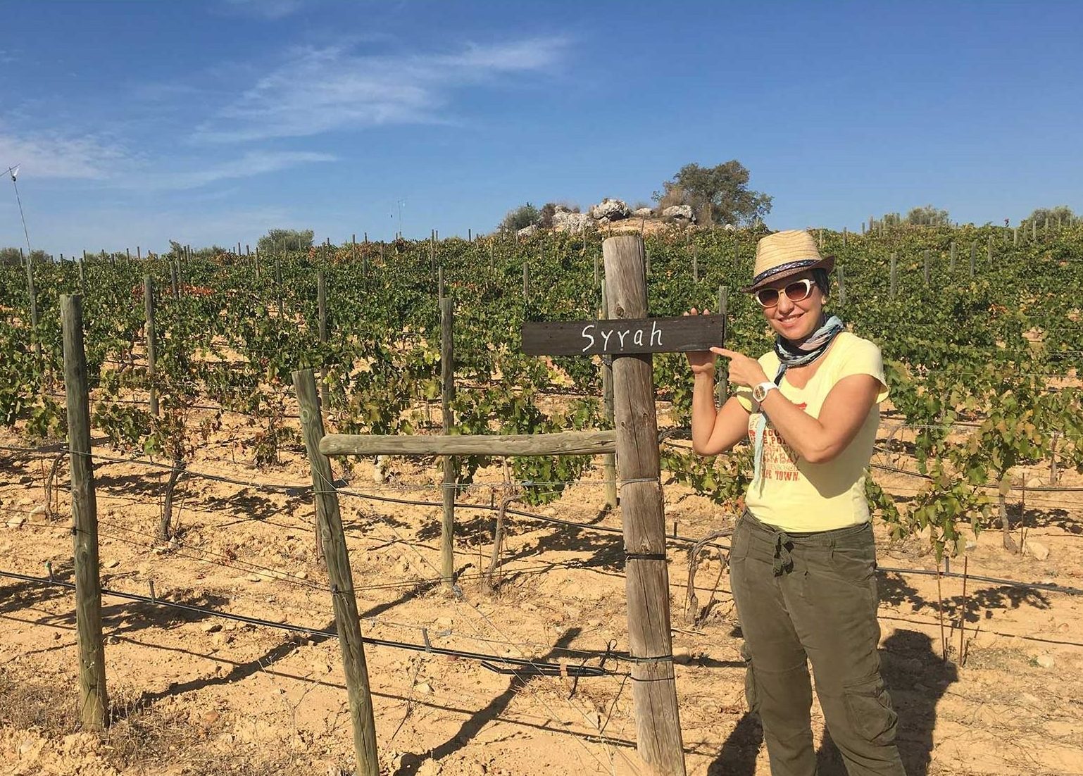 Top 5 Spanish Wine Regions for your wine holidays! Colorful Wines