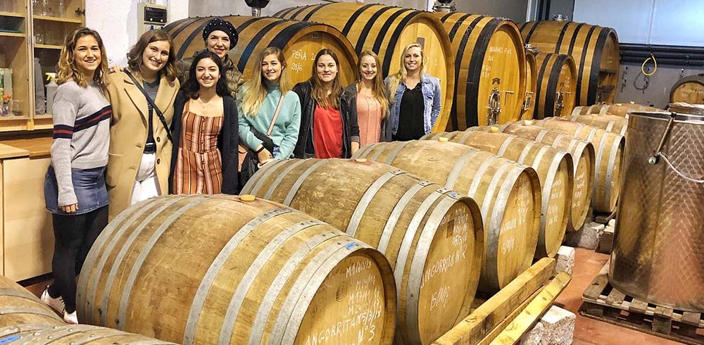 Wine cellar wine tour