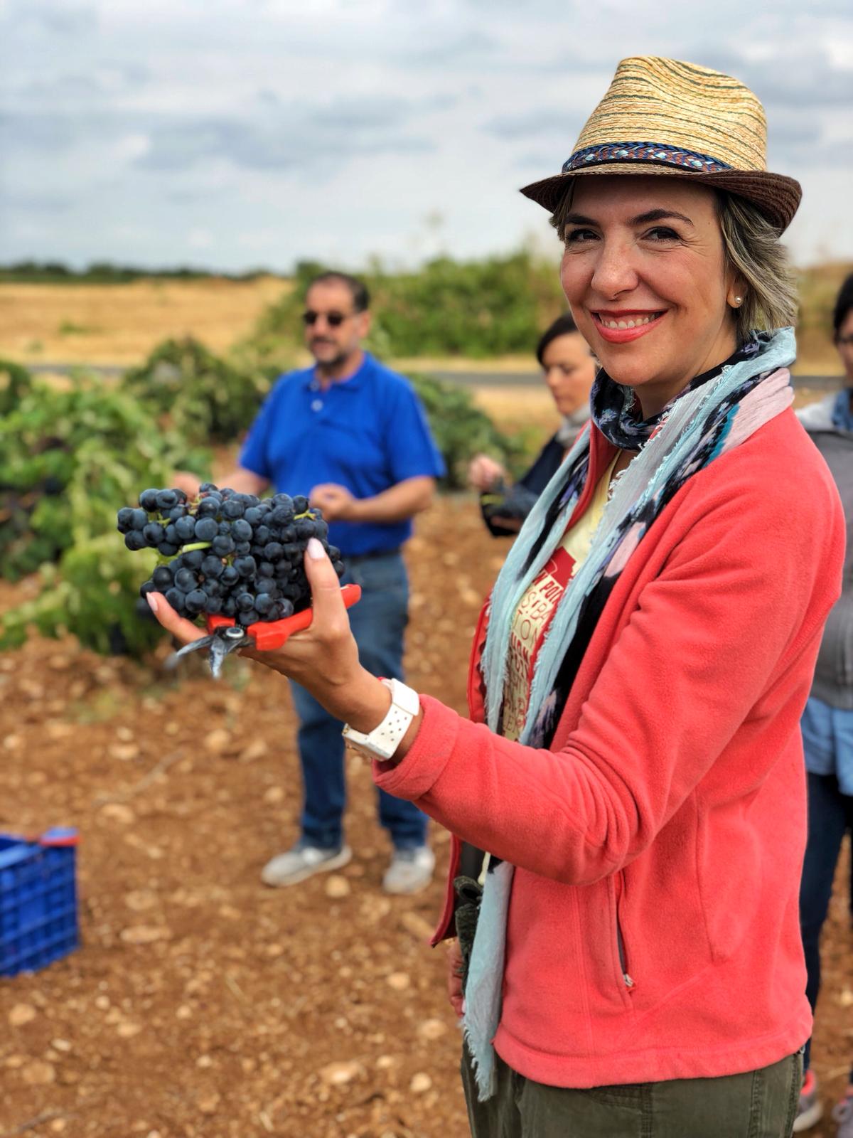 Tempranillo grapes colorful wines