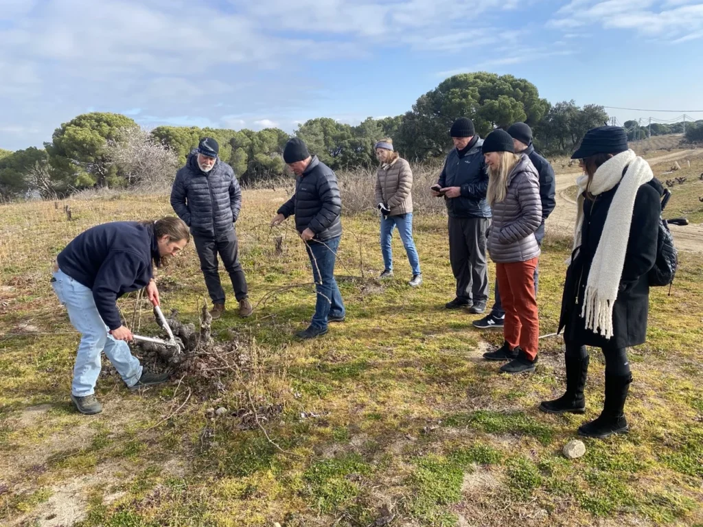 las moradas group harvest experience colorful wines