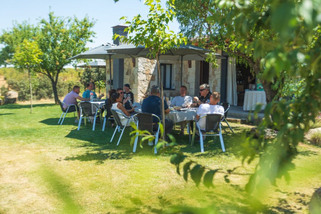 nature and wine team building gredos Madrid