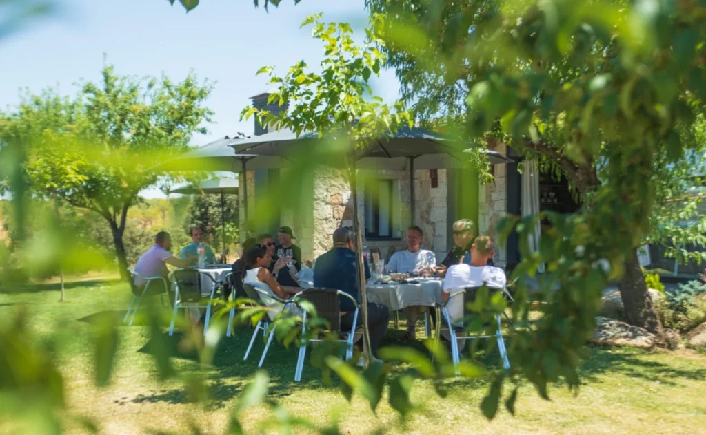 lunch during wine holiday in spain at a vineyard colorful wines