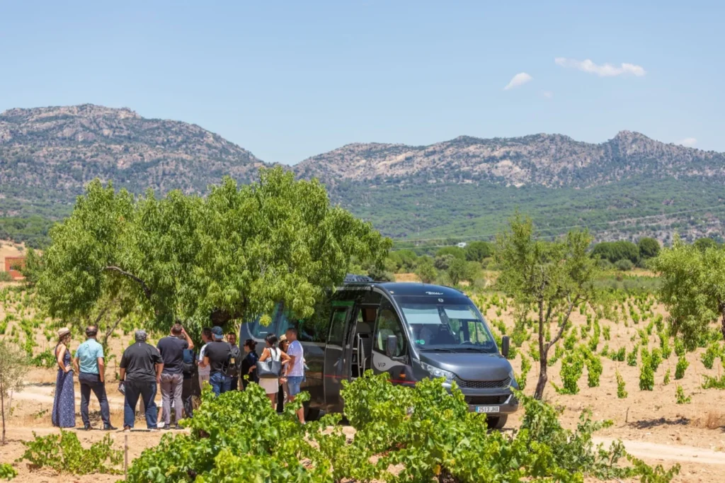 transportation for wine holiday in spain colorful wines