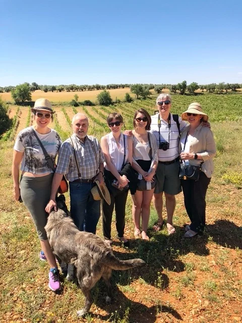 vineyard tour near Madrid during wine holiday in Spain colorful wines