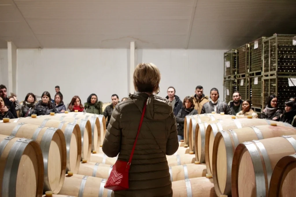winery visit during wine holiday in Spain colorful wines