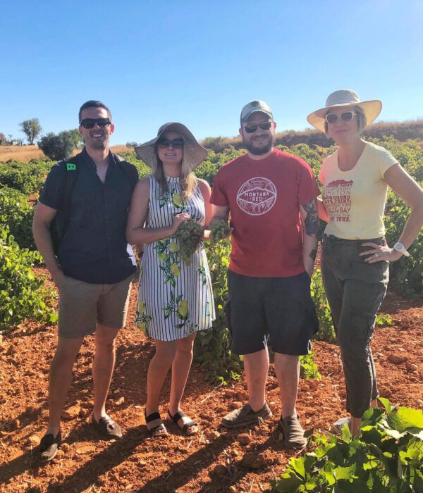 Wine tour near Madrid_Colorful Wines