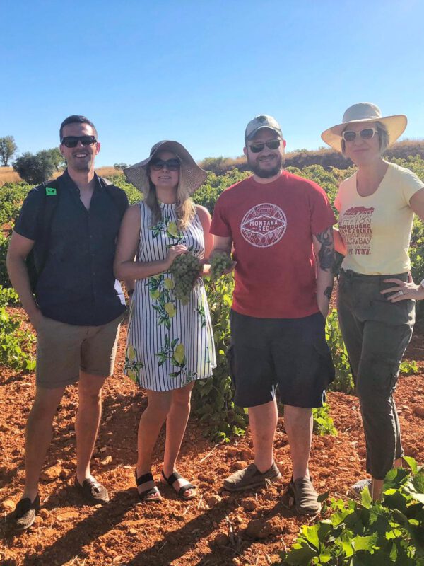 Wine tour near Madrid_Colorful Wines