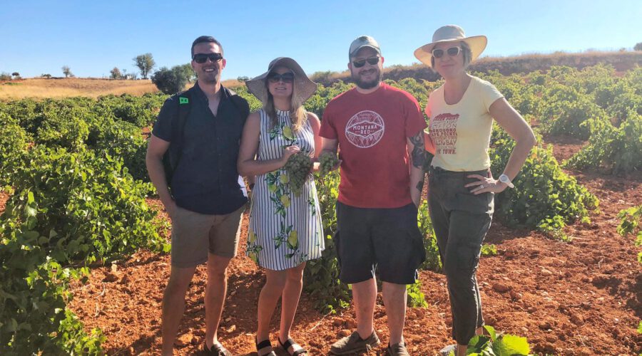 Wine tour near Madrid_Colorful Wines