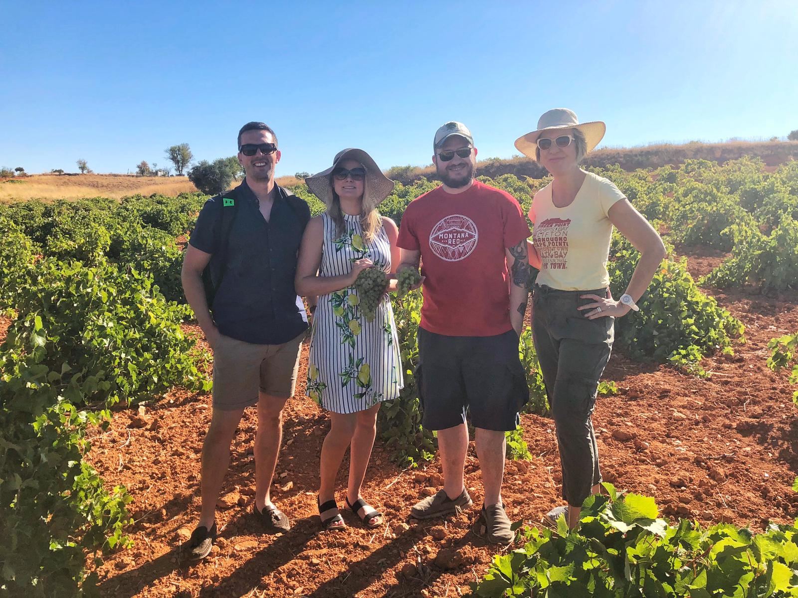 Wine tour near Madrid_Colorful Wines
