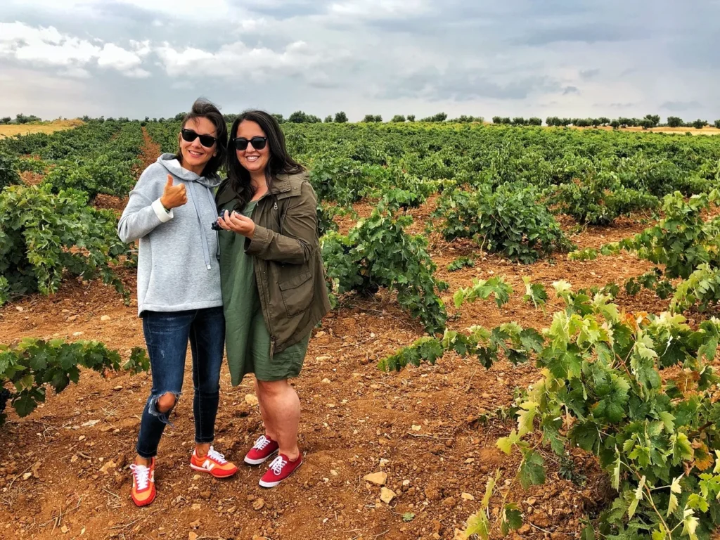 fun harvest experience at vineyard colorful wines