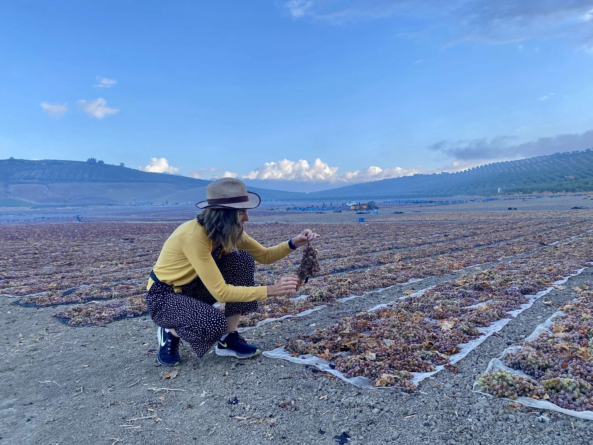 Rising Spanish Wine Regions