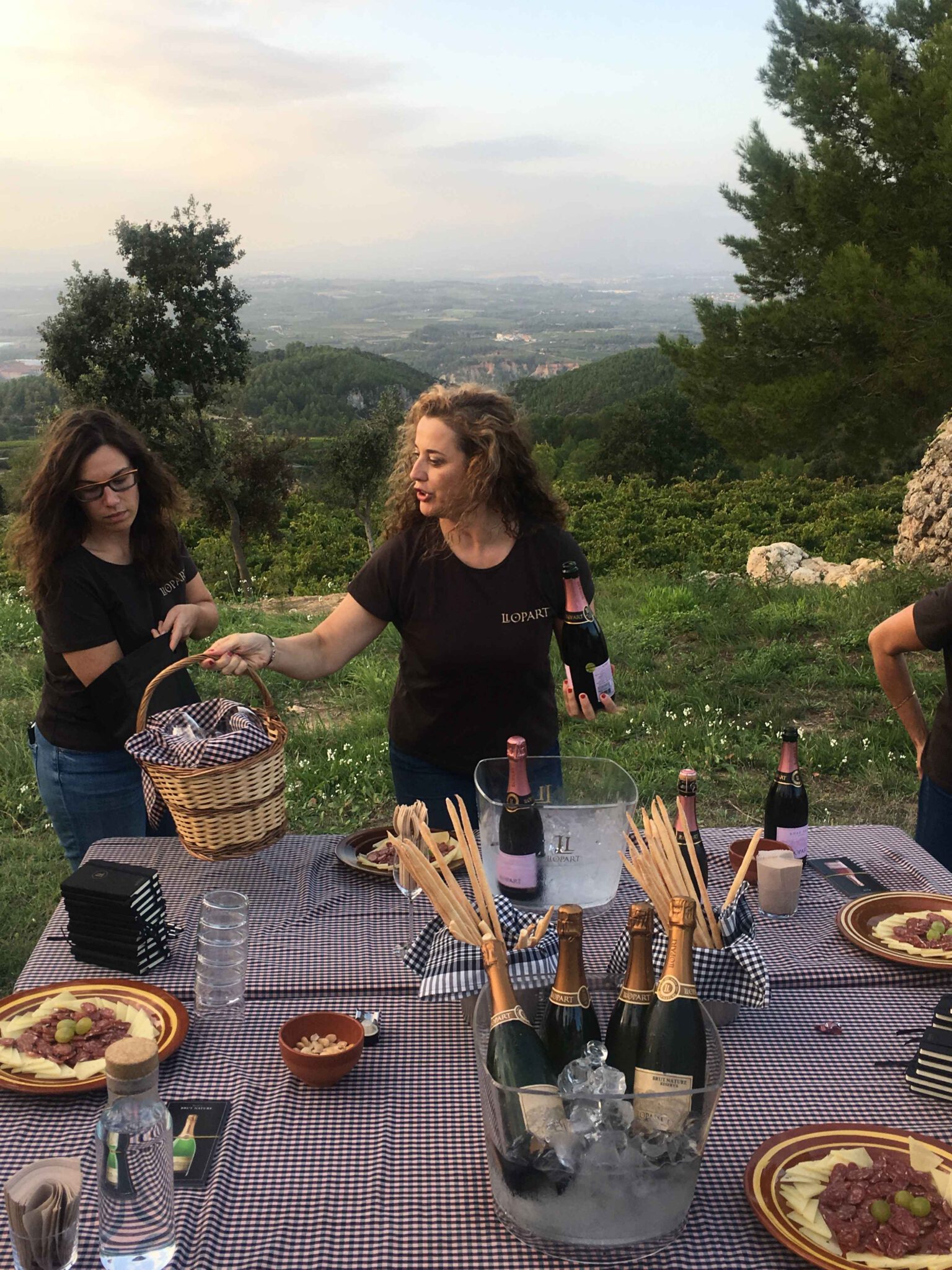 LLopart-vineyard_Colorful-Wines