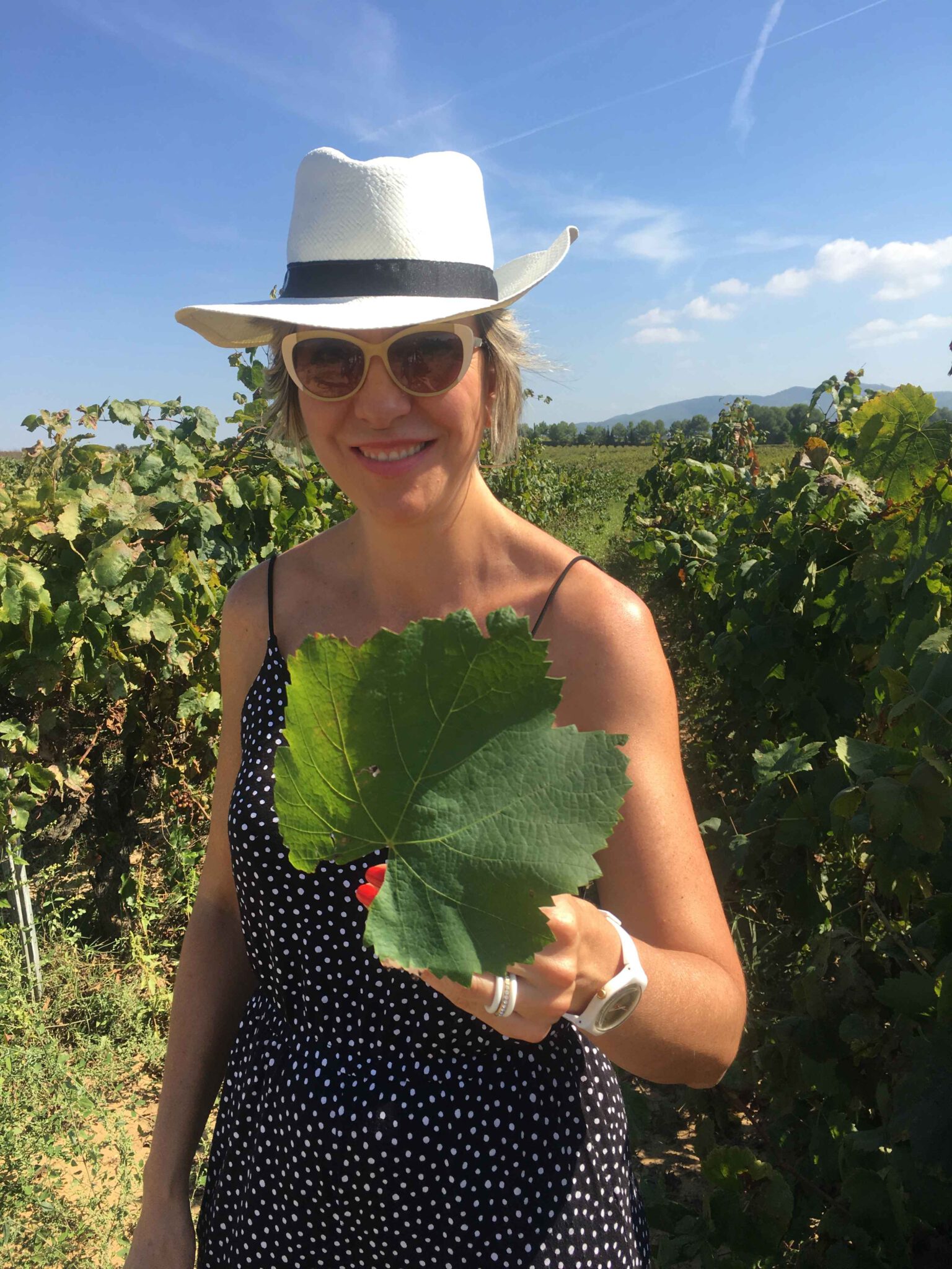 Xarello-Vineyard-Cava_Colorful-Wines